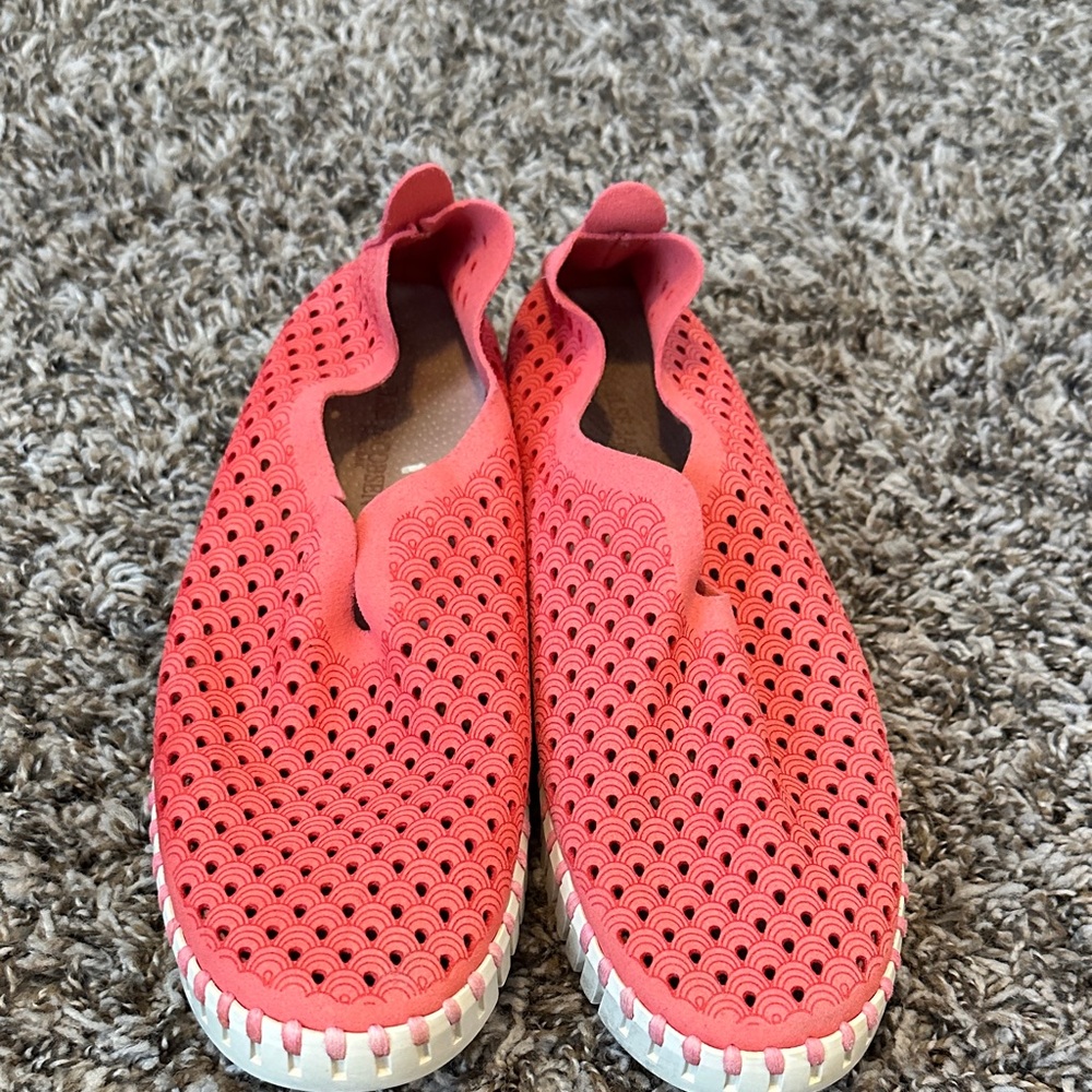 Women's Coral Isle Jacobsen, 38 Slip-On Shoes